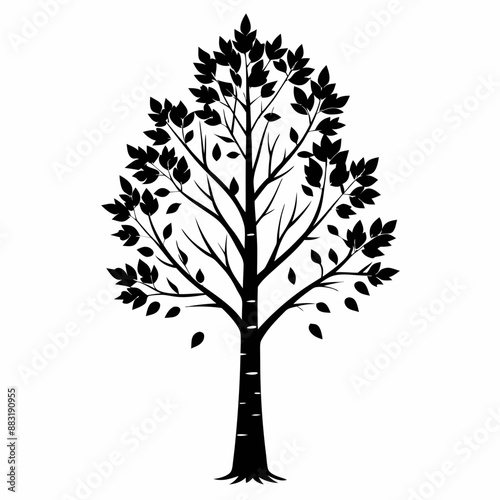 silhouette of tree