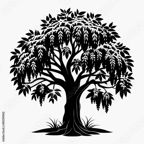silhouette of tree