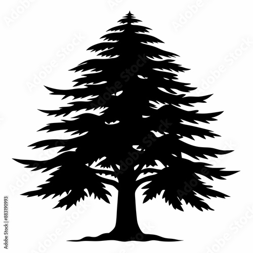 silhouette of tree
