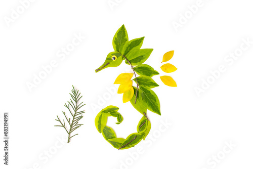 A close up of nature craft made with leaves, depicting a seahorse in green and yellow. Ecological art, full view. High quality product photo, ideal for environmental and creative projects photo