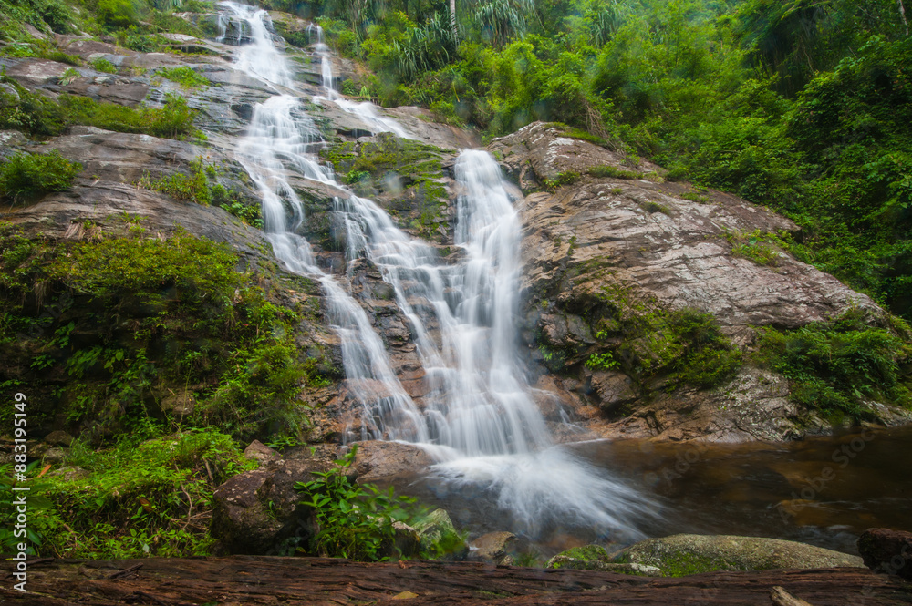 Obraz premium Waterfall in the national park forest