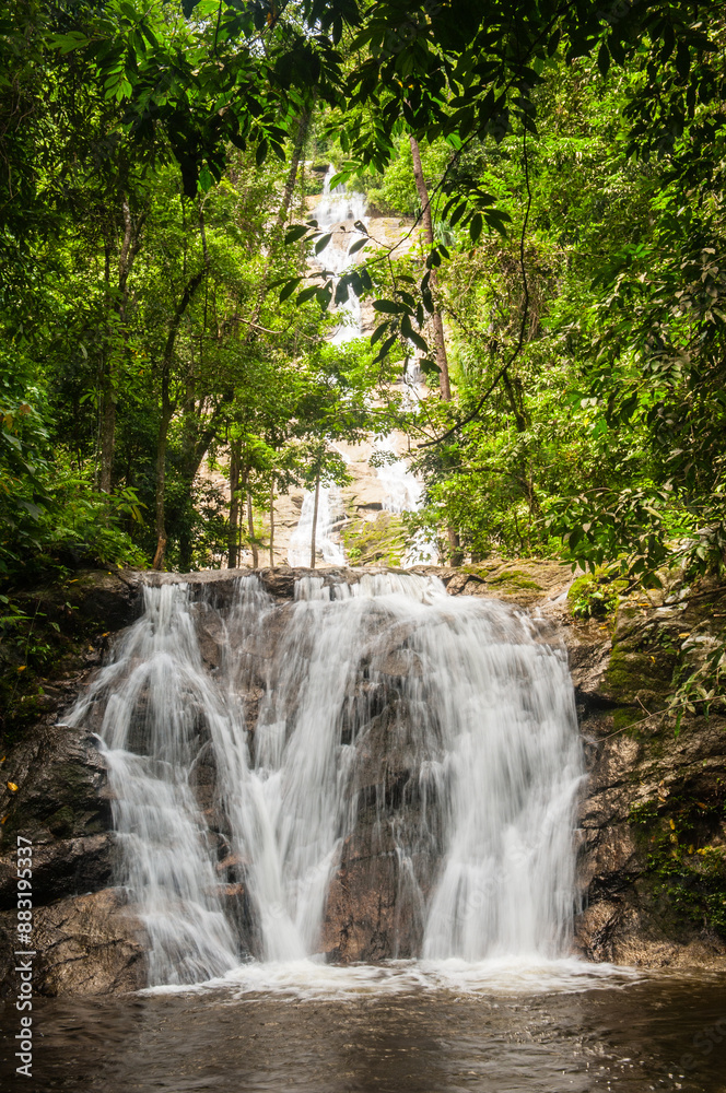 Obraz premium Waterfall in the national park forest