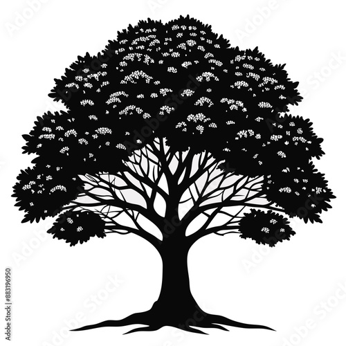 silhouette of tree