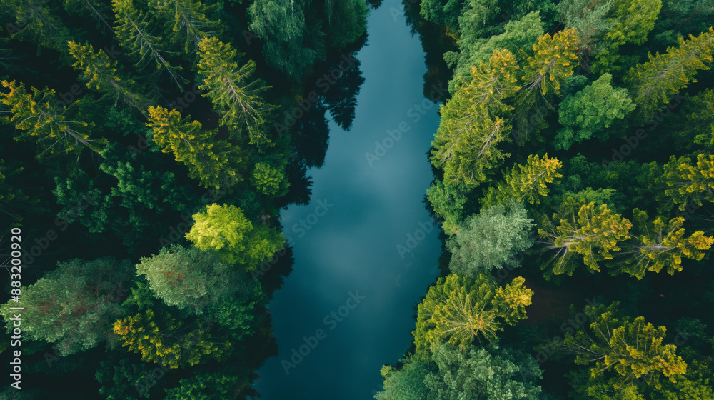 Calm river flows through a dense forest, its blue surface reflecting the surrounding trees. The view from above reveals the natural beauty of the forest and the winding river Calm river flows through a dense forest, its blue surface reflecting the surrounding trees. The view from above reveals the natural beauty of the forest and the winding river