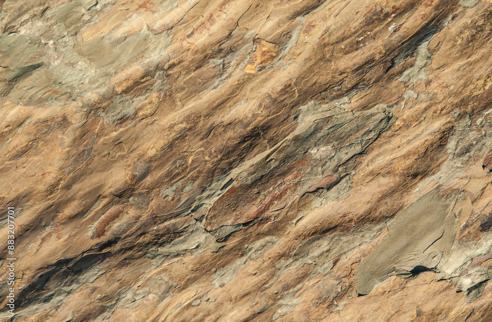 Fototapeta premium Brown sea stone texture