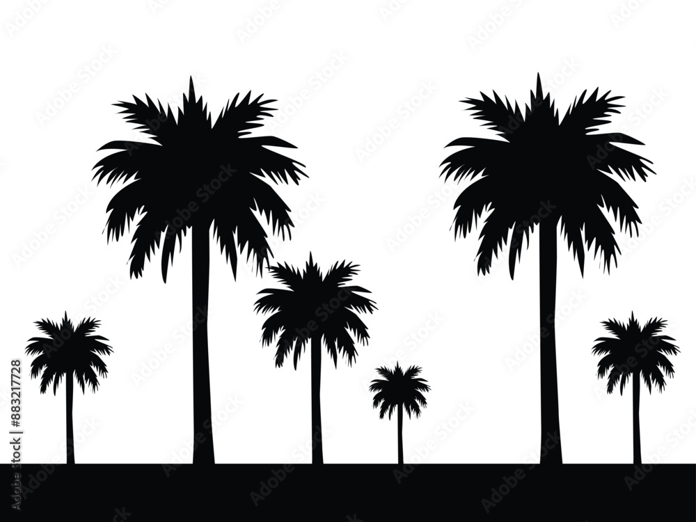 Set of vector silhouettes of palm trees Set of vector silhouettes of palm trees