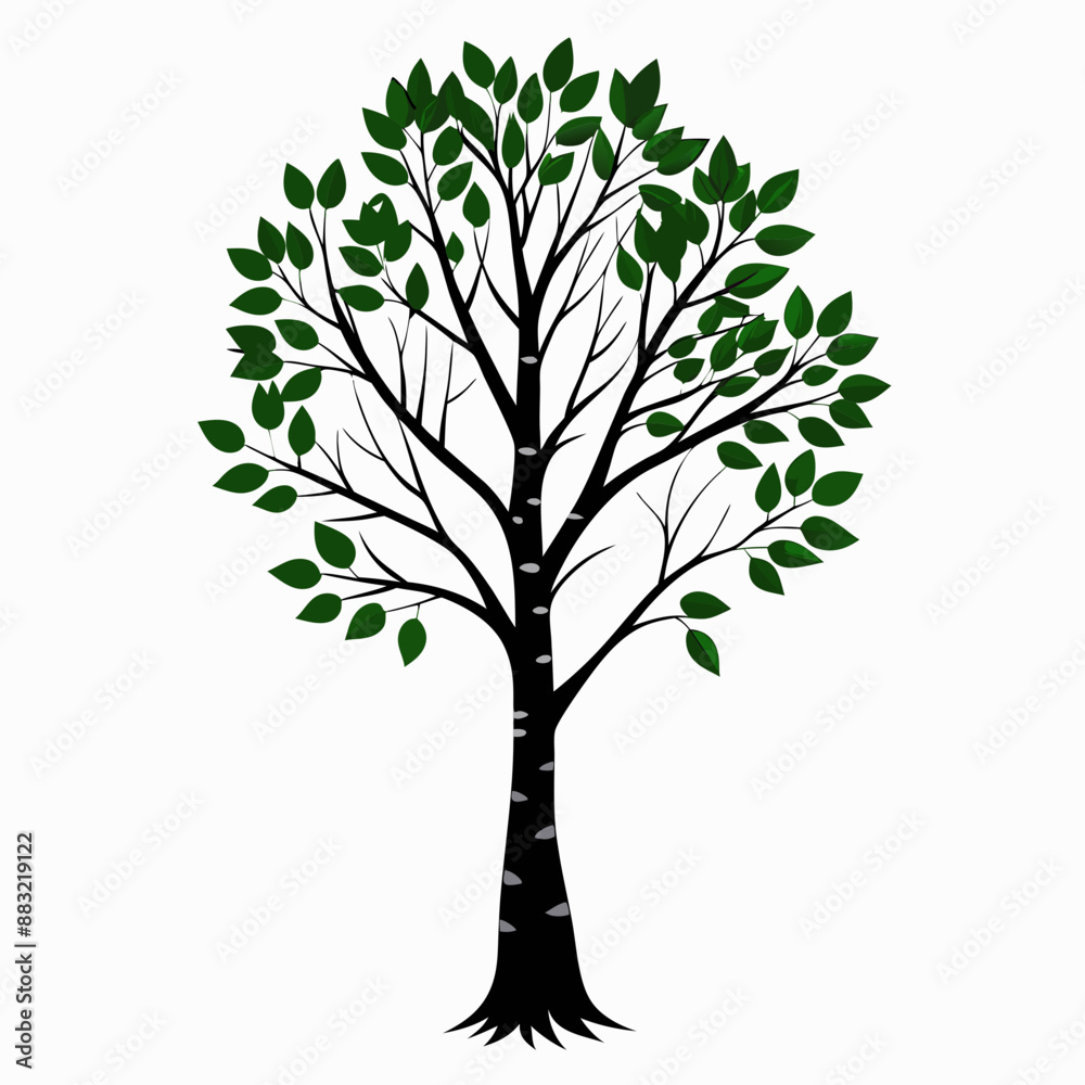 Obraz premium tree with leaves vector illustration 