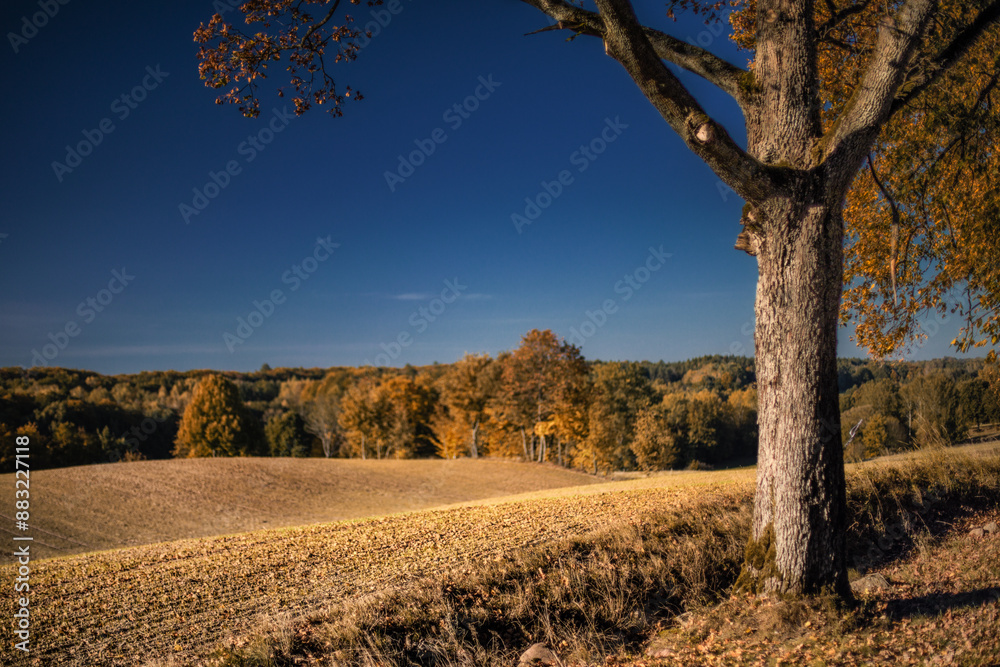 Fototapeta premium Pomorze