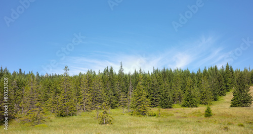 Landscape of the Karkonosze (Giant Mountains), a mountain range located on the border of Poland and the Czech Republic, Poland. © MaciejBledowski