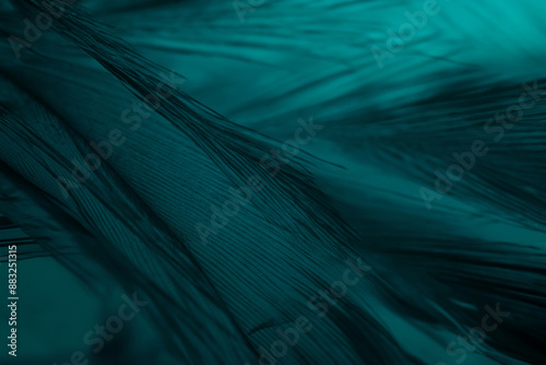 Exquisite Vintage Viridian Feather Texture Background photo