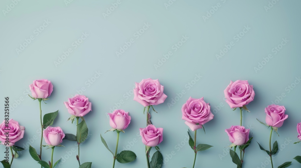 A chic and modern design featuring a border of purple roses, arranged in a minimalist fashion. The image offers plenty of copy space, making it ideal for a variety of creative projects. A chic and modern design featuring a border of purple roses, arranged in a minimalist fashion. The image offers plenty of copy space, making it ideal for a variety of creative projects.