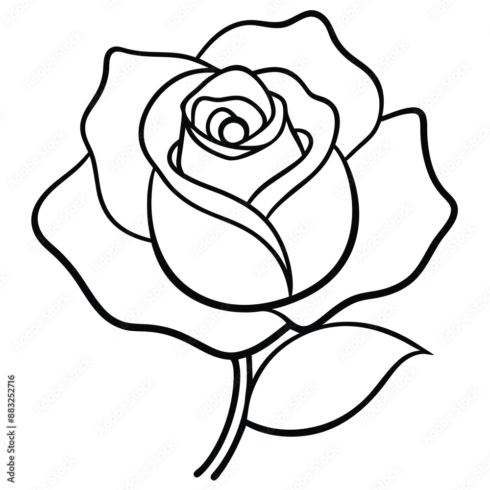 Rose flower silhouette with white background Rose flower silhouette with white background