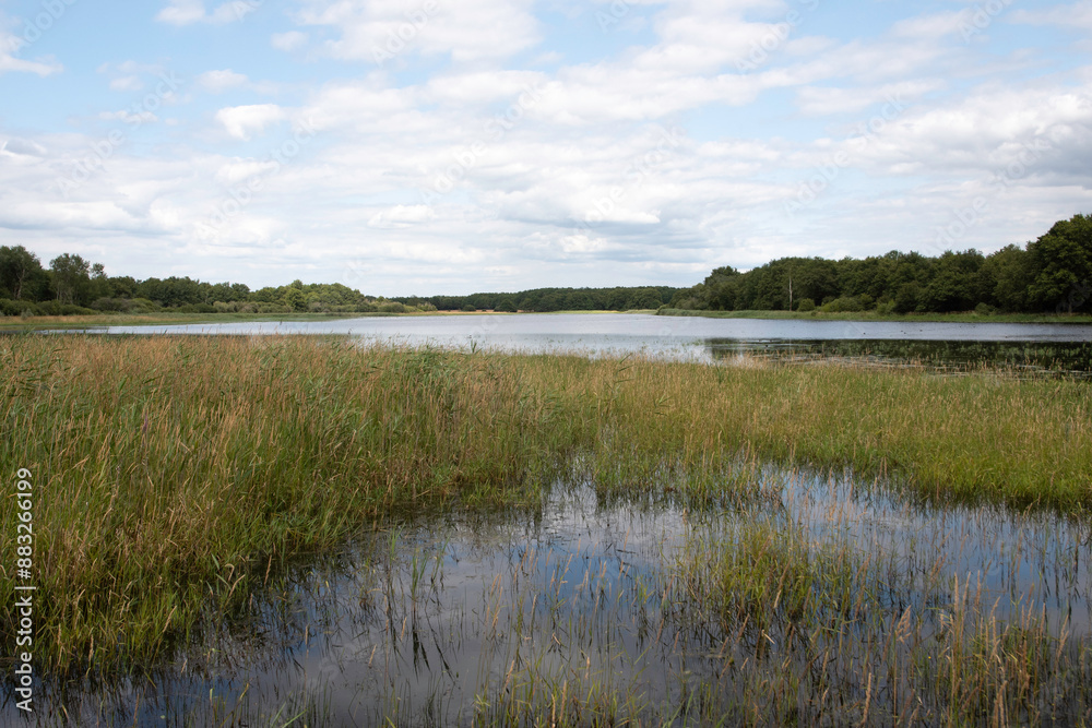 Etang de Beaumont, Conservatoire d’espaces naturels Centre Val de Loire, Neung sur Beuvron, Loir et Cher, 41, Sologne, France Etang de Beaumont, Conservatoire d’espaces naturels Centre Val de Loire, Neung sur Beuvron, Loir et Cher, 41, Sologne, France