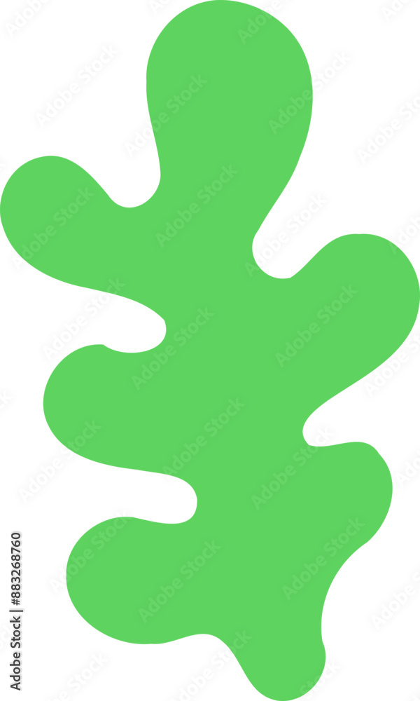Leaf Illustration Leaf Illustration