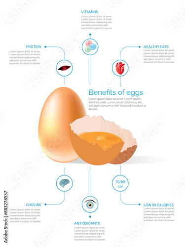 Infographic detailing the health benefits of eggs, including protein, vitamins, healthy fats, choline, antioxidants, and low calories.