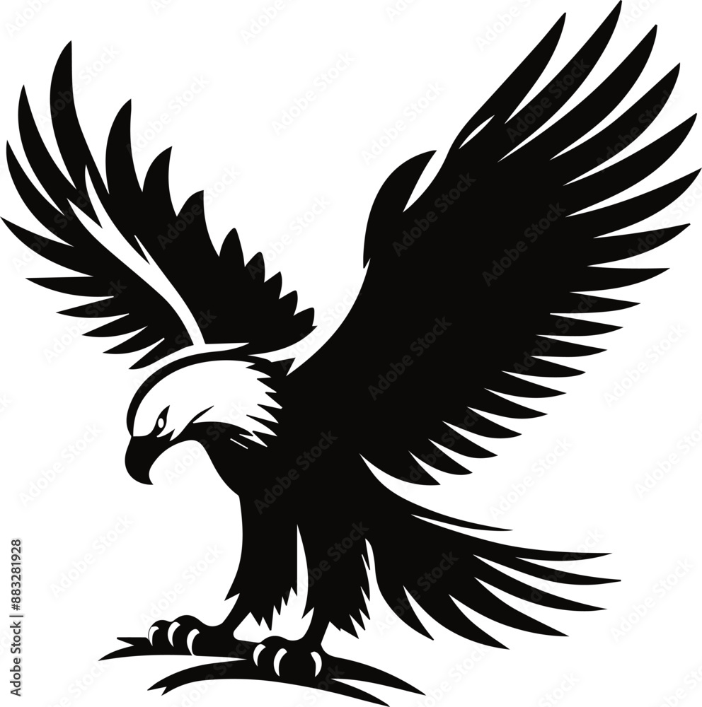 Fototapeta premium BLACK EAGLE VECTOR ILLUSTRATION