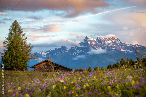 Panoramic Swiss Landscape with Alps and Chalet