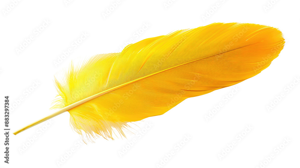 Yellow feather on transparent background Yellow feather on transparent background