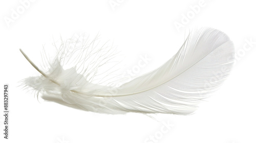 Obraz na płótnie White feather on transparent background w salonie