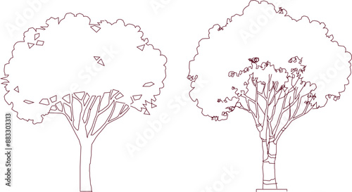 Vector silhouette illustration sketch, detailed artistic unique tree plant design with leaves and twigs for completeness of the image
