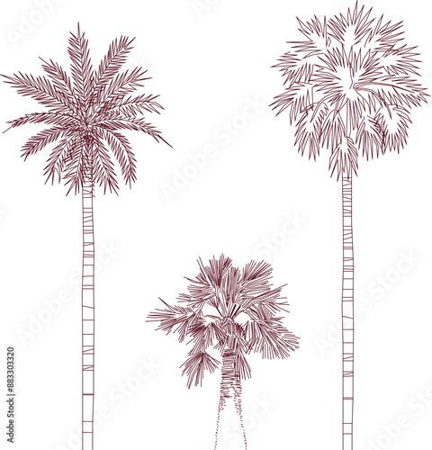 Vector silhouette illustration sketch, detailed artistic unique tree plant design with leaves and twigs for completeness of the image