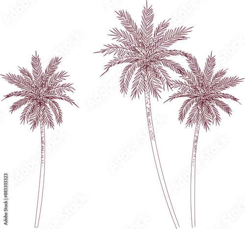 Vector silhouette illustration sketch, detailed artistic unique tree plant design with leaves and twigs for completeness of the image