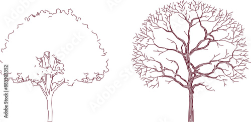 Vector silhouette illustration sketch, detailed artistic unique tree plant design with leaves and twigs for completeness of the image 