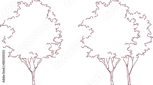 Vector silhouette illustration sketch, detailed artistic unique tree plant design with leaves and twigs for completeness of the image 
