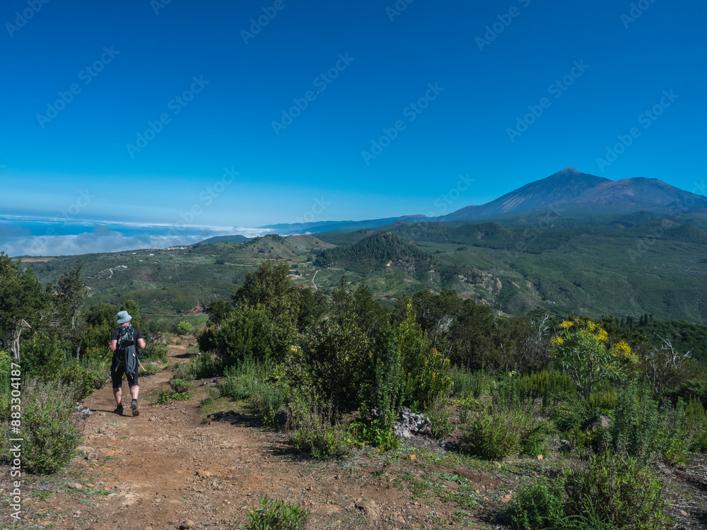 Obraz premium Scenic view on volcano Pico del Teide surrounded by pine tree forest with lonely man hiker at Teno mountain range, Tenerife, Canary Islands, Spain, Europe. Hiking trail around Cruz de Gala peak.