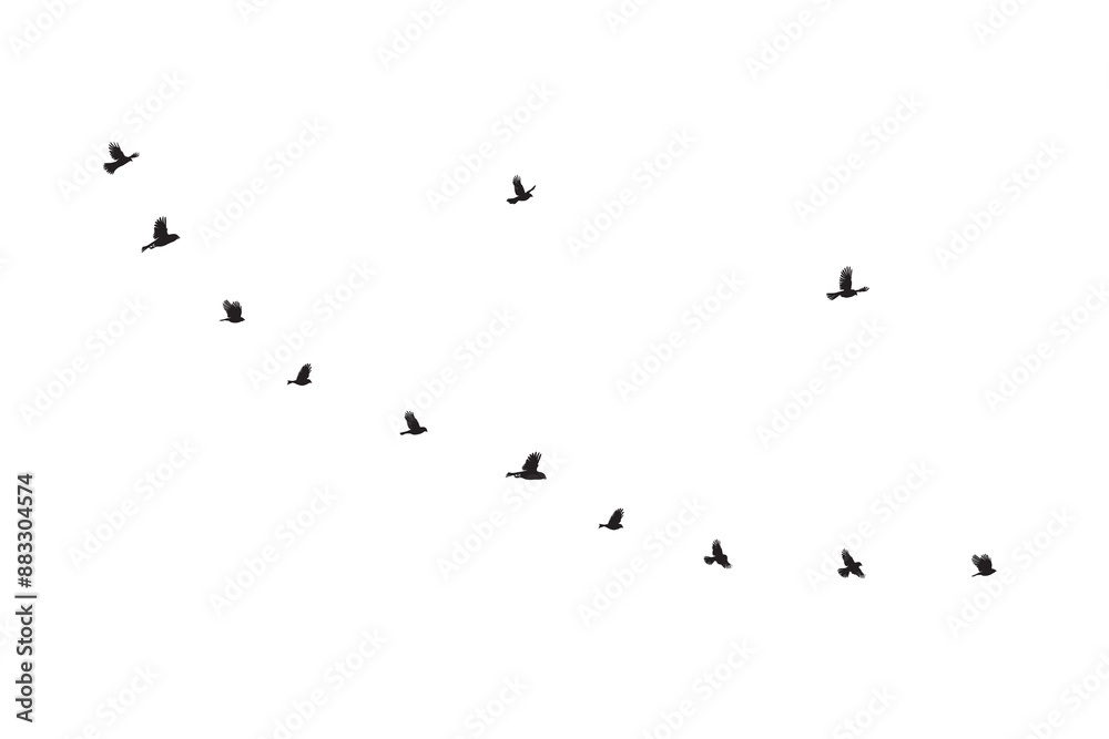 Flock of birds flying silhouette vector icon