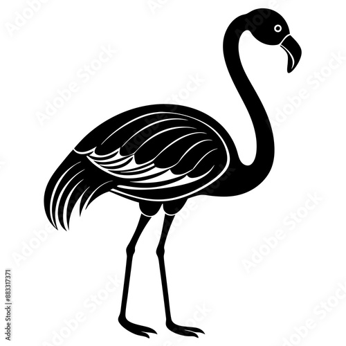 flamingo vector silhouette, Vector black flamingo silhouette, Black silhouette of tropical bird flamingo photo