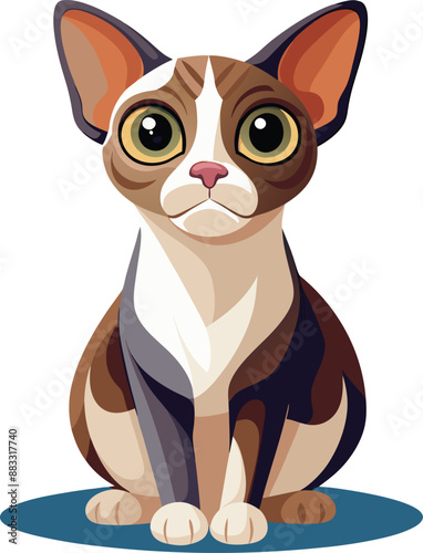 the cat looks intrigued with wide eyes and raised eyebrows