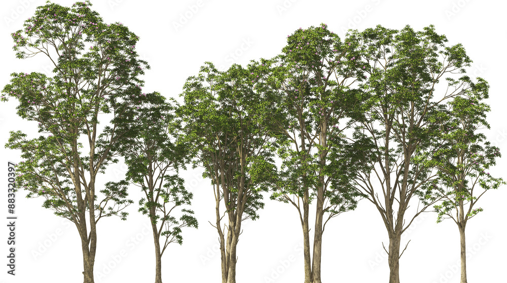 treeline trees rhotodendron hq arch viz cut out plants treeline trees rhotodendron hq arch viz cut out plants
