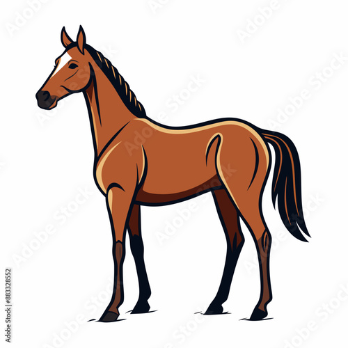 hand drawn thoroughbred horse on white background