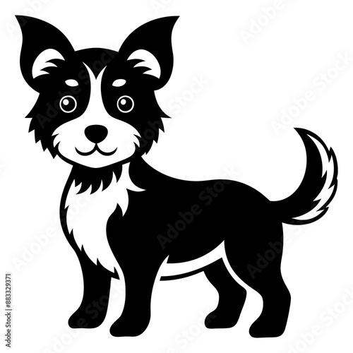 black and white dog