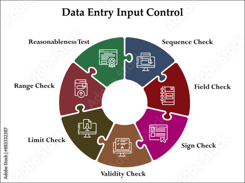 Seven data entry input control - Sequence, field, sign, validity, limit, range, reasonableness check. Infographic template with icons and description placeholder