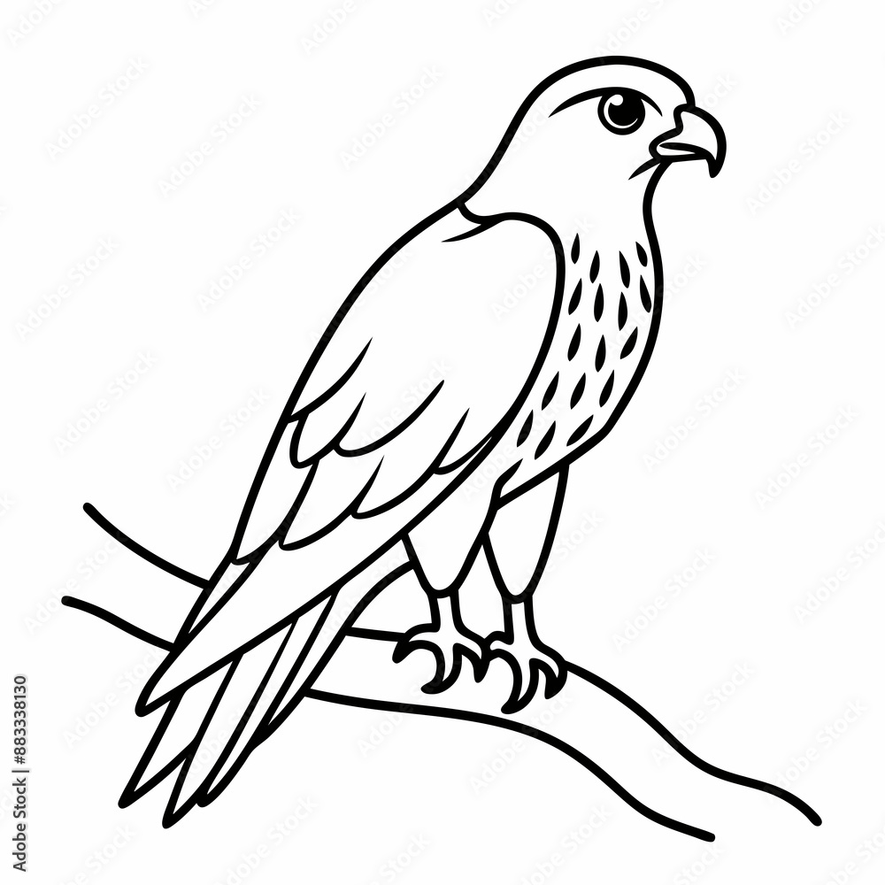 Harrier on tree wood vector illustration Harrier on tree wood vector illustration