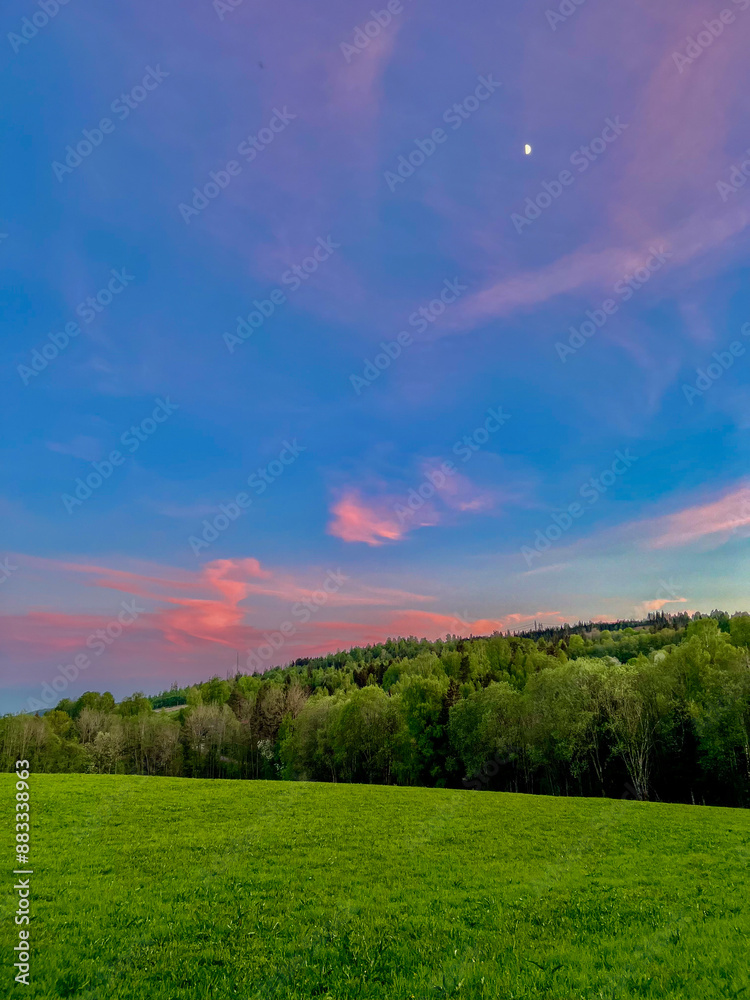 Naklejka premium green field and sky