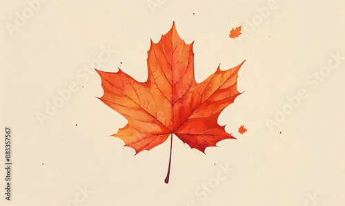 A linear vector of a maple leaf.