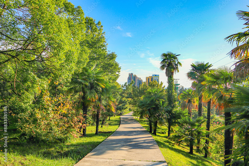 Obraz premium path in the park