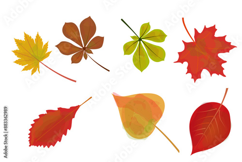 Draw vector illustration collection autumn leaves For fall autumn season concept Watercolor style. Colorful autumn leaves of maple, birch, oak, chestnut, beech.