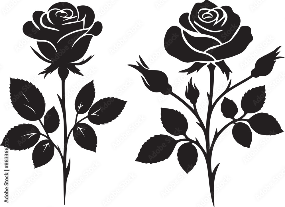 Stylish rose flower vector and illustrator Stylish rose flower vector and illustrator