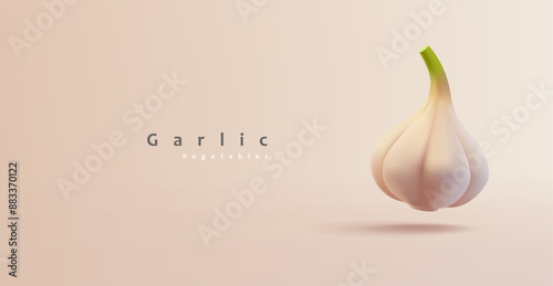 Garlic, 3D. Head of garlic for farm organic products, condiments, spices, and cooking concepts. Vector illustration.