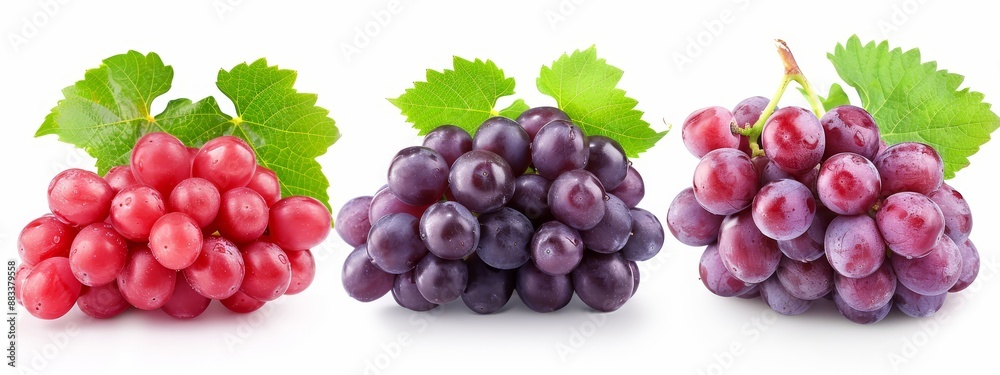  A cluster of grapes with green foliage above and below, resting next to one another