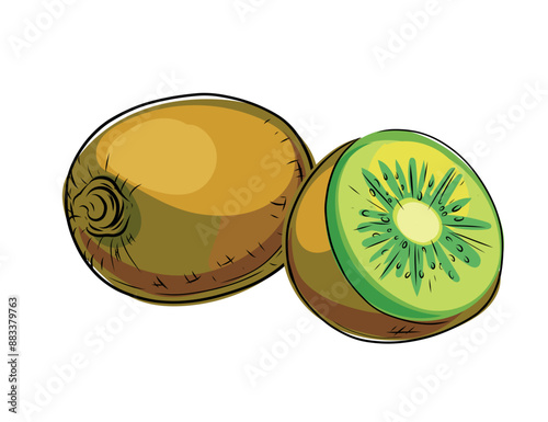 Set of hand drawn fresh green kiwi. Whole and halved tropical fruit in doodle style. Vector illustration isolated on white background