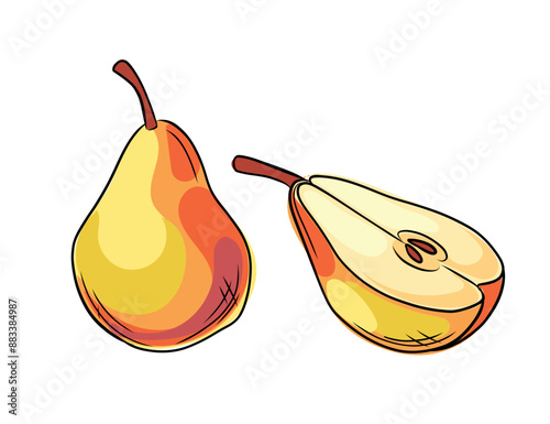 Set of hand drawn fresh yellow pear with seed. Whole and halved fruit in doodle style. Vector illustration isolated on white background