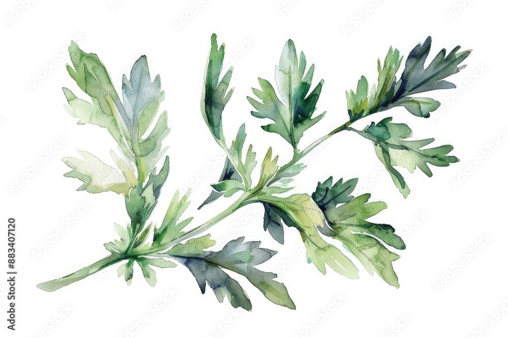 Fototapeta premium Natural Medicine: Hand-Drawn Watercolor Wormwood Sprig for Herbal Health Therapy