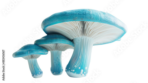 Florescent mushrooms on a transparent background photo