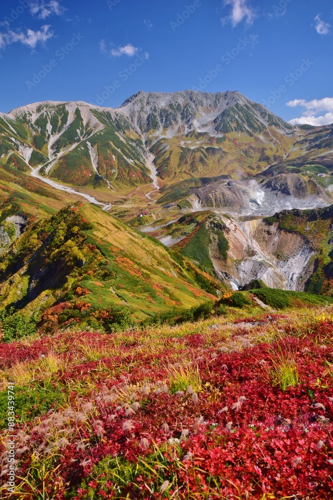 Fototapeta premium 秋の大日連峰 紅葉トレッキング