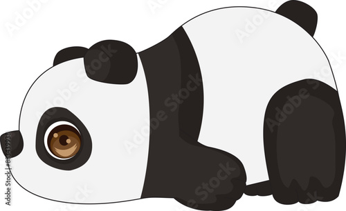 Lazy cute panda bear laying